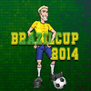 Coupe du Brésil 2014