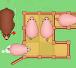 Puzzle coulissant : Coup de cochon